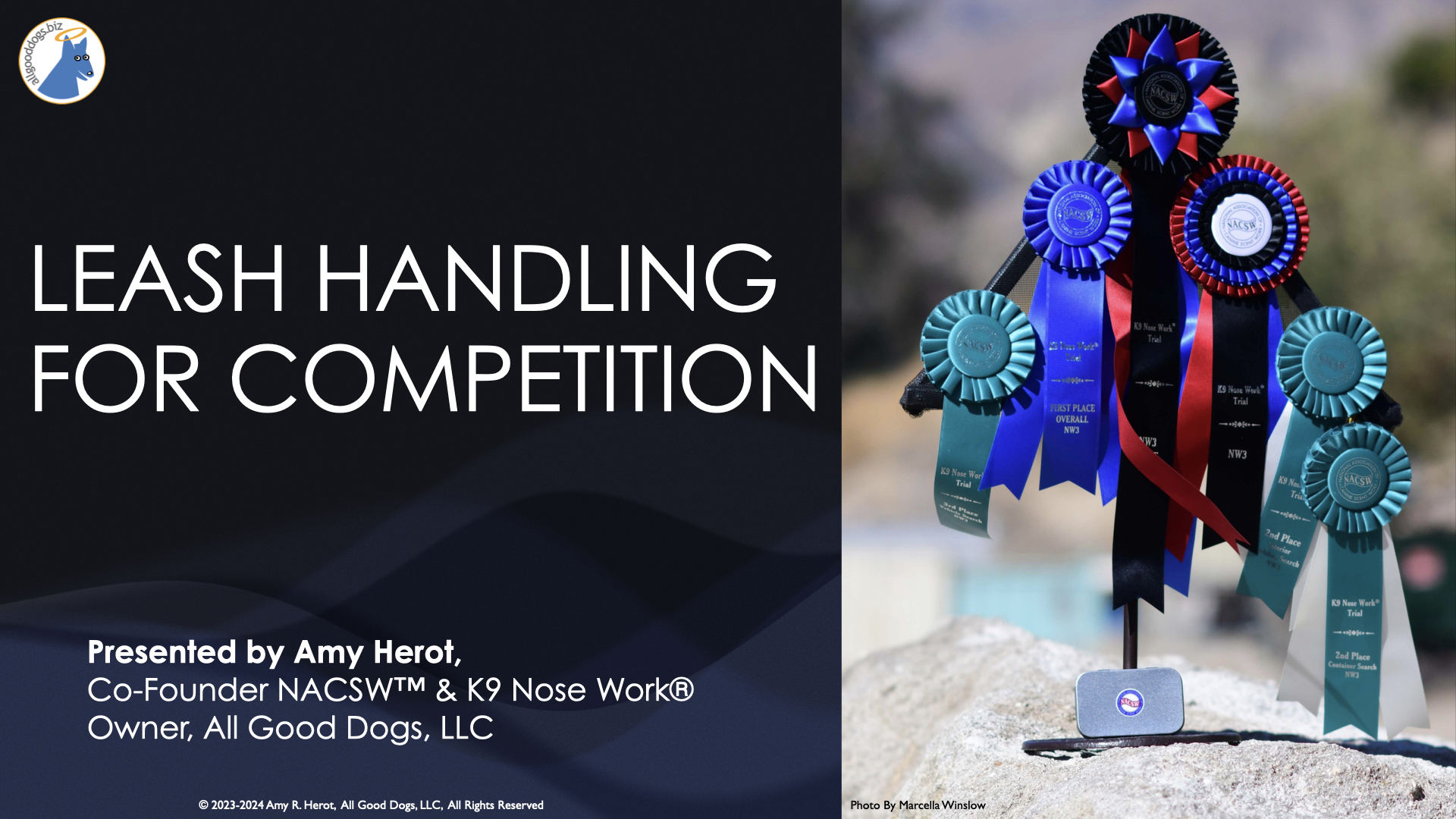 Leash Handling For Competition: Seminar with Amy Herot, Petaluma, CA  – March 10, 2024