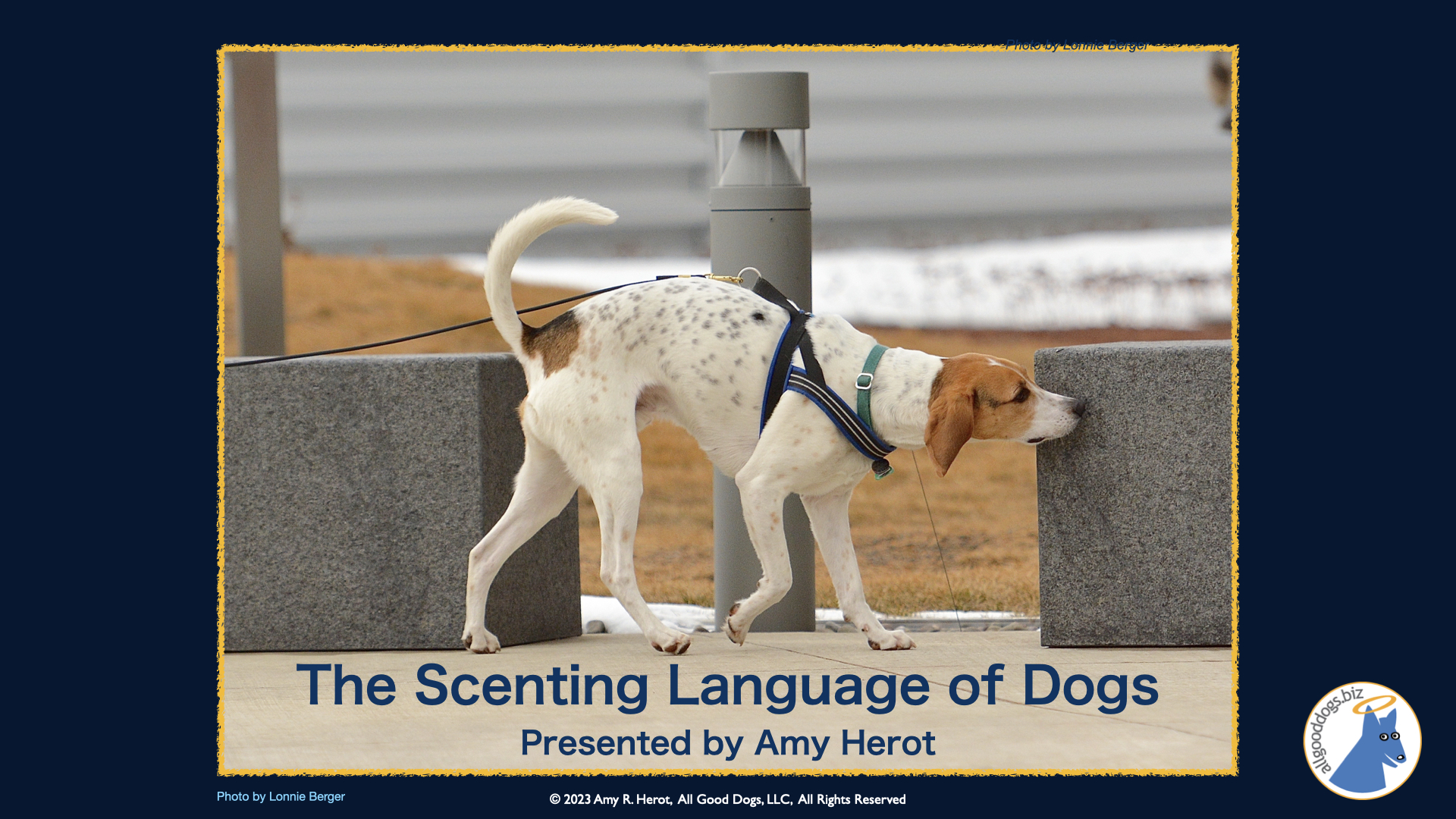 The Scenting Language of Dogs: Seminar with Amy Herot, Petaluma, CA  – March 9, 2024